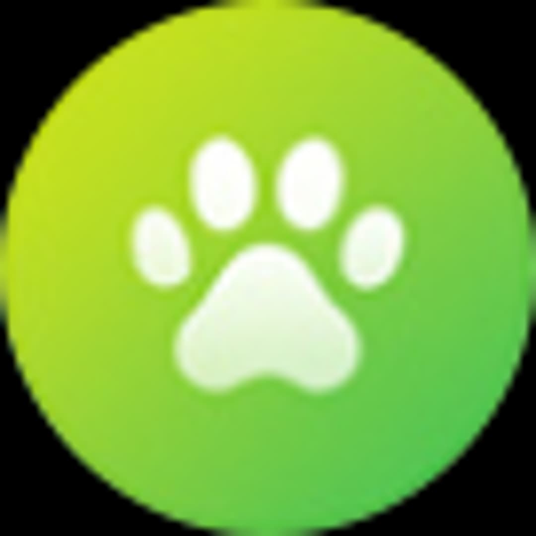 Category Icon