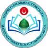 المدرسة التركية الدولية في المدينة المنورة (المرحلة الابتدائية، المرحلة المتوسطة، المدرسة المتوسطة للأئمة والخطباء، الثانوية الأناضولية للأئمة والخطباء، الثانوية الأناضولية)