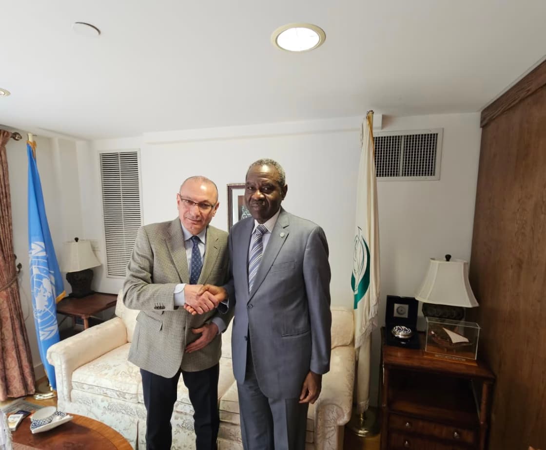 The Turkish Ambassador in Cairo Meets the Permanent Observer of the Organization of Islamic Cooperation to the United Nations