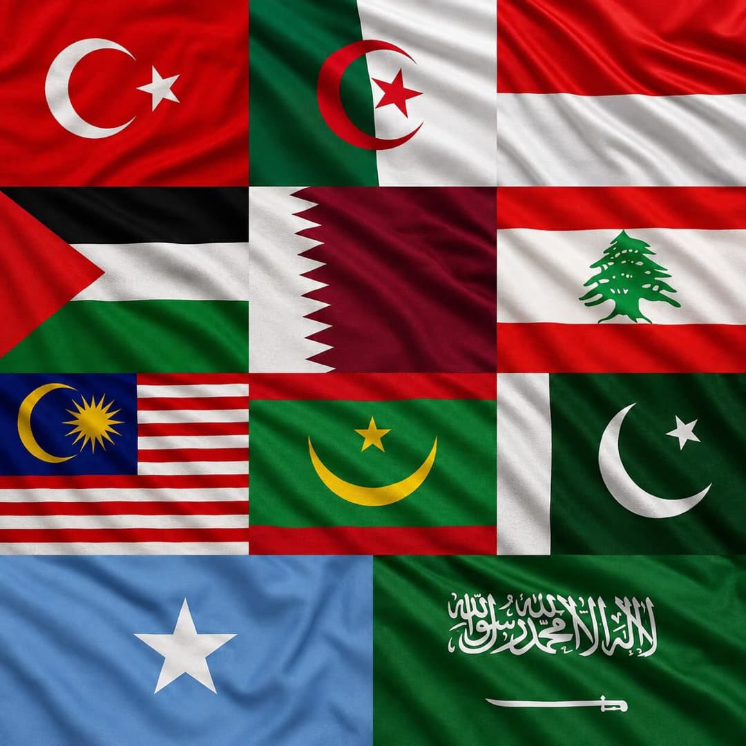 تركيا و11 دولة أخرى تدين الغارات الإسرائيلية على قاعدة أبو الظهور الجوية في سوريا