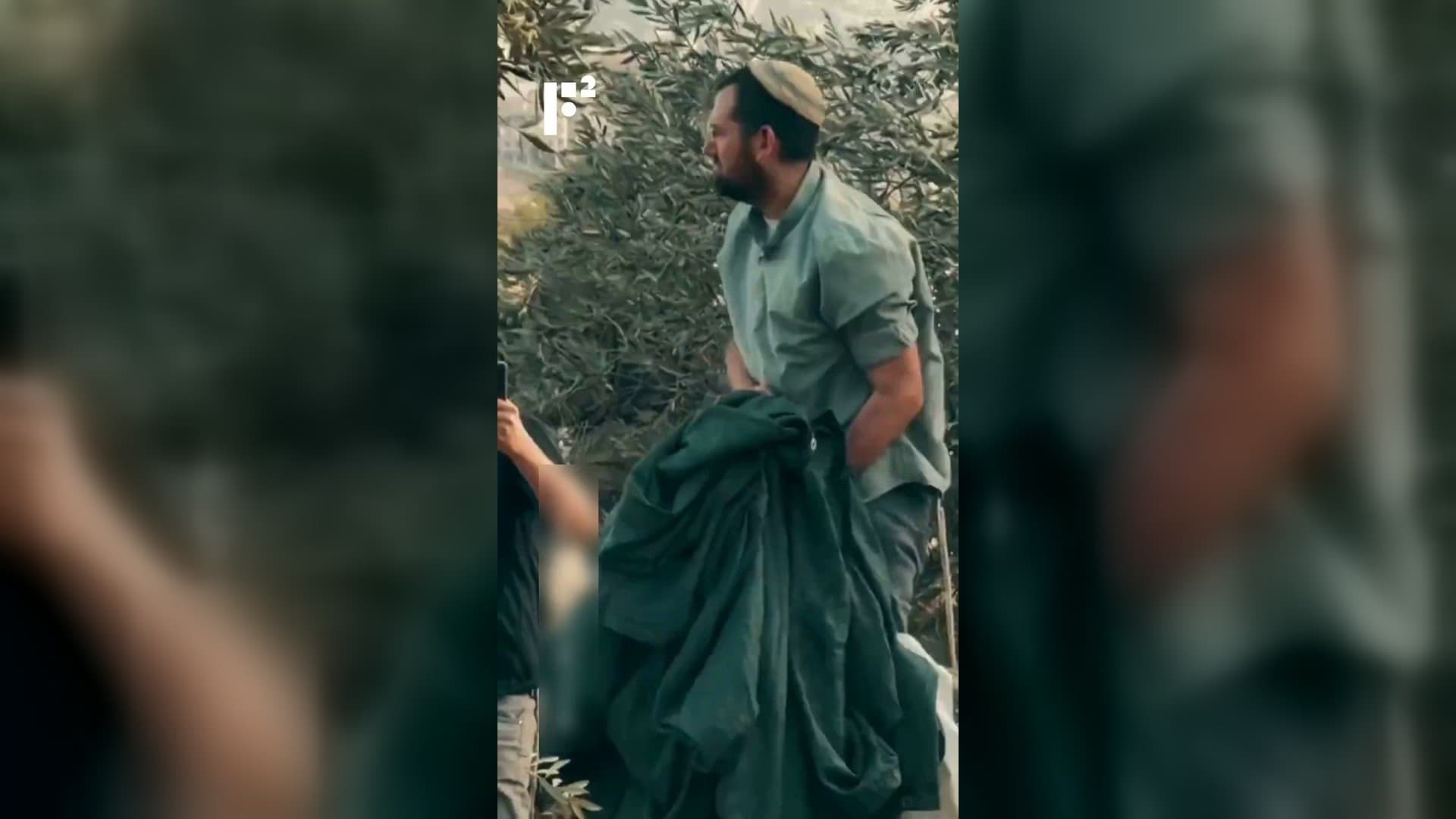 مستوطنون يجنون زيتون الفلسطينيين في بورين بالضفة الغربية